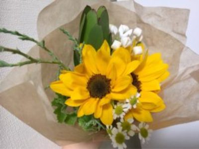 9月ペン字お教室レッスンスケジュールを明日追加いたします