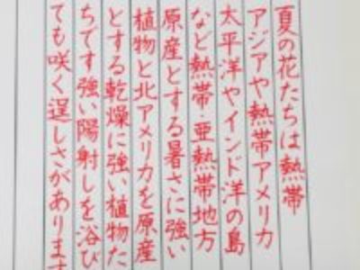 ペン字で集中力も身につけて夏を乗り切ろう！【ペン字6回コース・8月のお手本/たて書き】