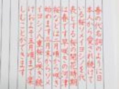 書くことは全身運動にも繋がっていく♪【ペン字6回コース・4月お手本/縦書き】