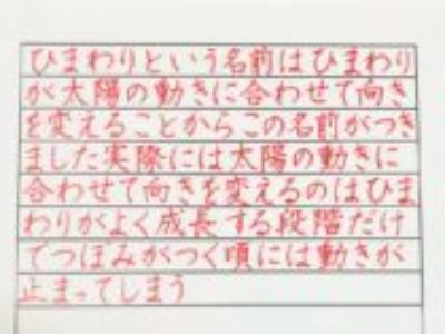 デジタル化が進んでいく世の中であっても、貴重な「美しい文字を書きたい」かたへ♡
