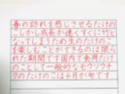 土台がしっかりしてないと、花は咲き続けられない【ペン字6回コース・３月お手本/横書き】