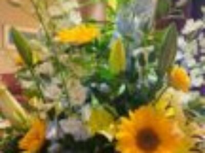 8月〜9月少人数制グループレッスンスケジュール追加♪（ペン字&筆ペン）