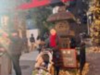 あけましておめでとうございます！(2026年1～2月のペン字筆ペンレッスンスケジュール)